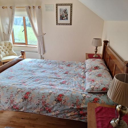 Ferienwohnung The Attic Kilkenny Exterior foto